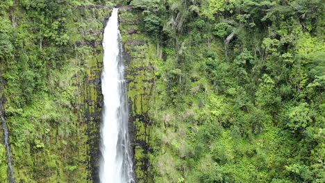 a large waterfall at a rainforest