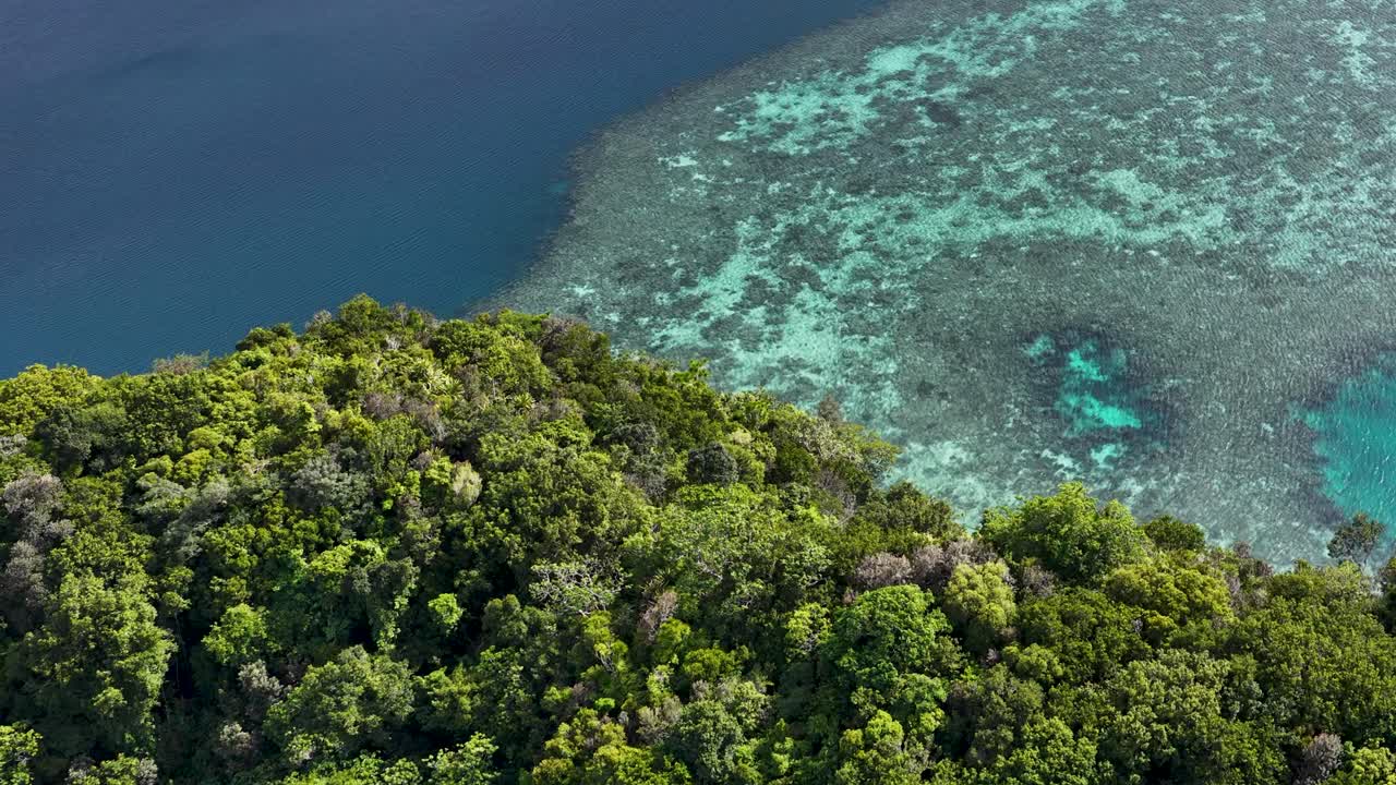 Droneopptak panorerer over en tett grønn skogkledd øy som møter klart turkist korallrevvann