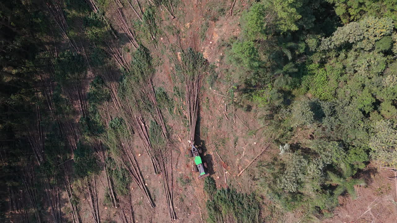 Aerial top down tractor vehicle timbering trees, wood logging industry landscape
