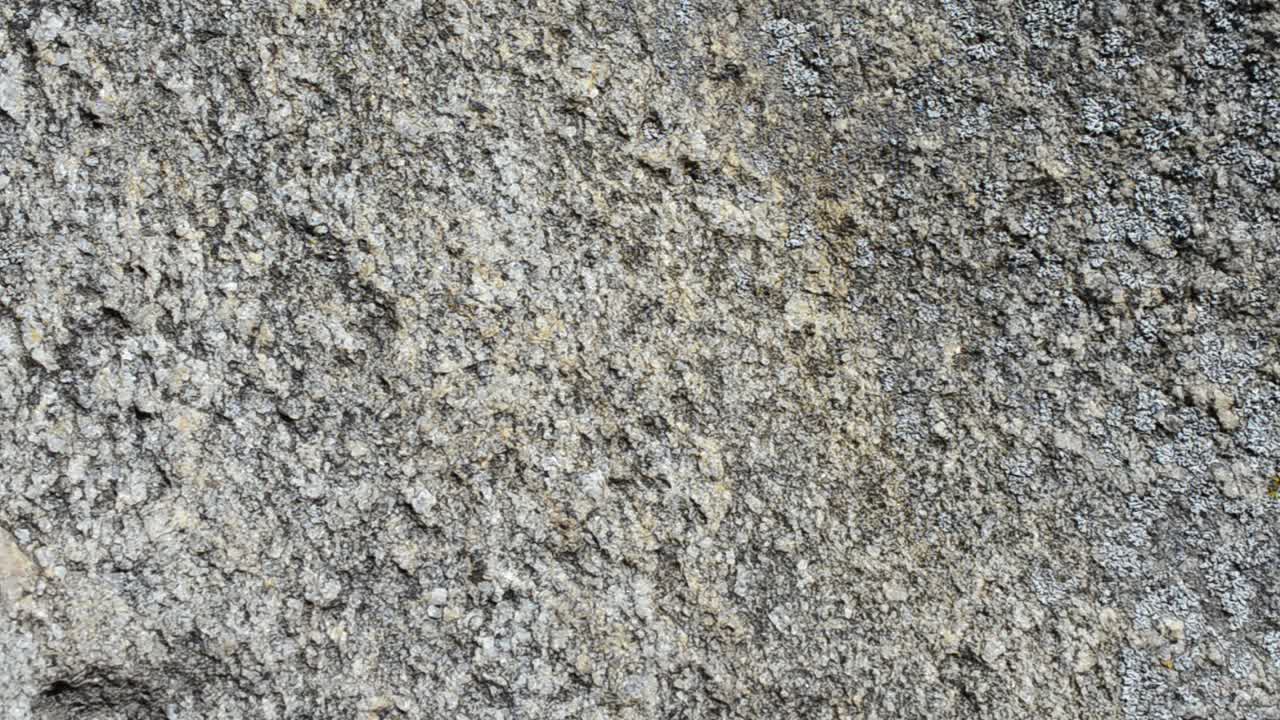 石の撮影。石の背景。