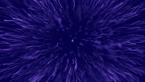 animación de fuegos artificiales púrpura sobre un fondo azul oscuro