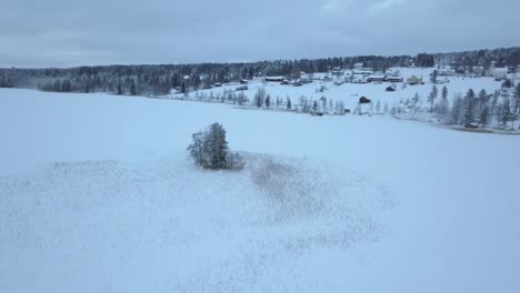 The-frozen-lake-and-forest-near-Borgvattnet,-Sweden