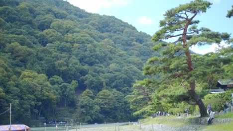 wide shot of the mountain and trees in kyoto, japan during the day soft lighting slow motion 4k