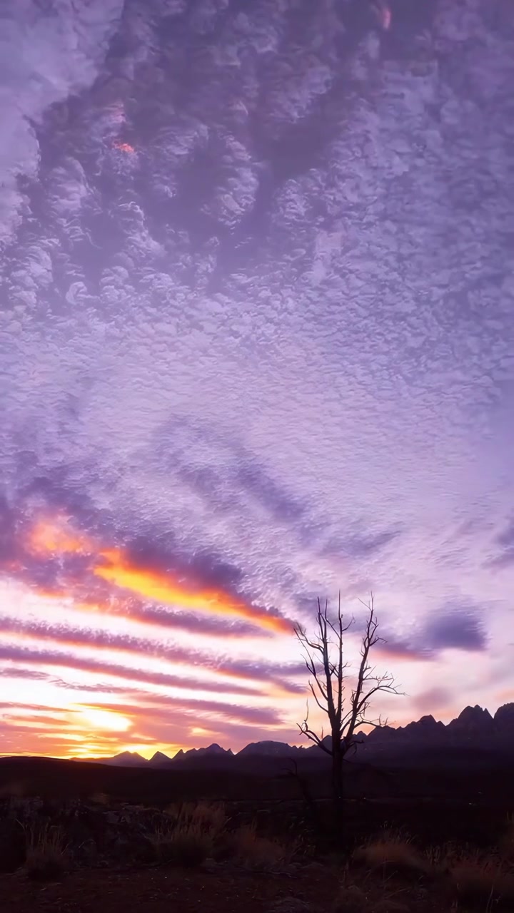 Dramatic Time-Lapse Sunset with Vibrant Clouds and a Silhouetted Tree