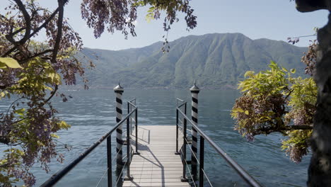 serene lakeside pier with wisteria