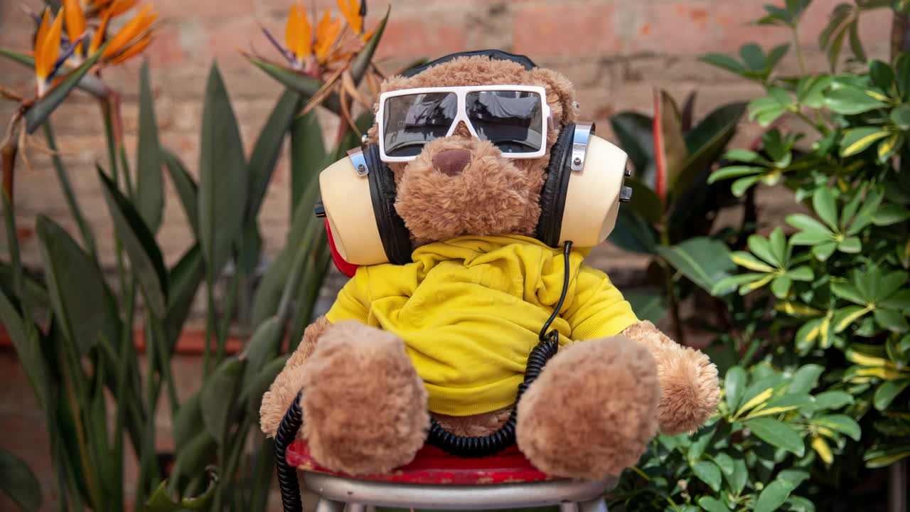 테디 베어 dj가 정원에서 휴식을 취하고 있습니다.