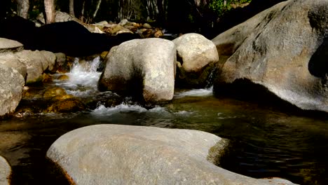 río de montaña que fluye en el bosque tropical alrededor de los pueblos de la vera en extremadura