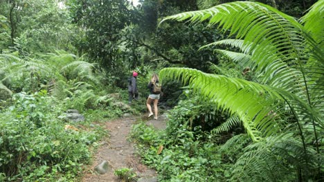 group of female young tourists are on holiday with school students and hiking through nature in tanzania jungle rainforest hike following local guide with backpacks 25 fps