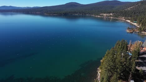 drone footage of lake tahoe, north shore beach and trees