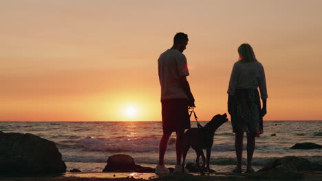 couple and dog silhouetted against sunset on the beach