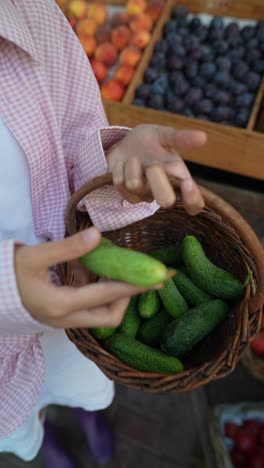 woman holding a basket of cucumbers at a market