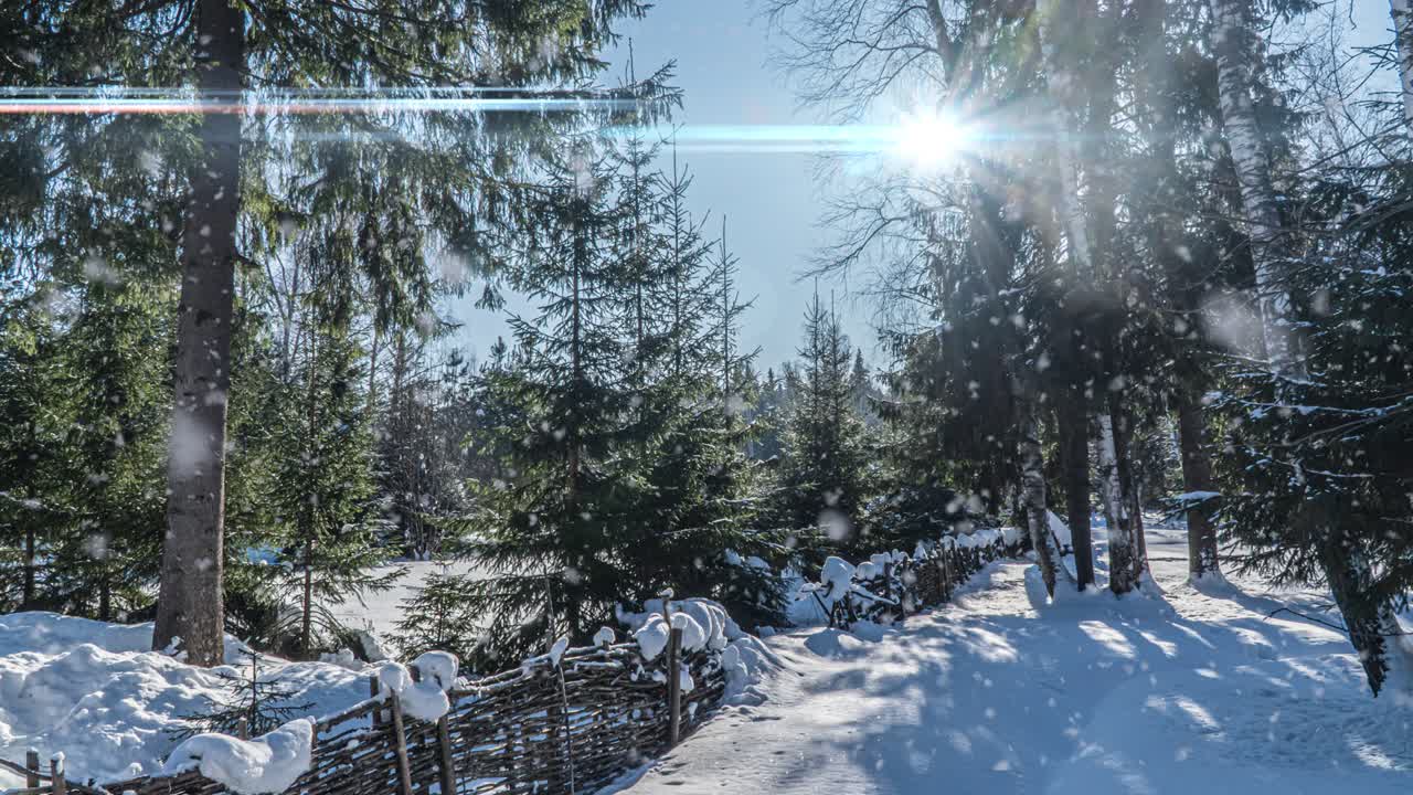 Sneklædt skov. Ovenfra-perspektiv i en sneklædt vinterskov, naturlandskab, frosne skove, smukt vinter solrigt landskab