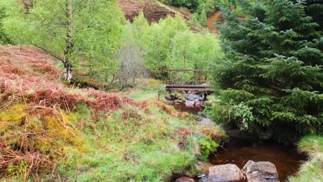 Filmische-Drohnen-Zoomaufnahme-Des-Schottischen-Highland-Creek-Mit-Kleiner-Brücke-Im-Hintergrund