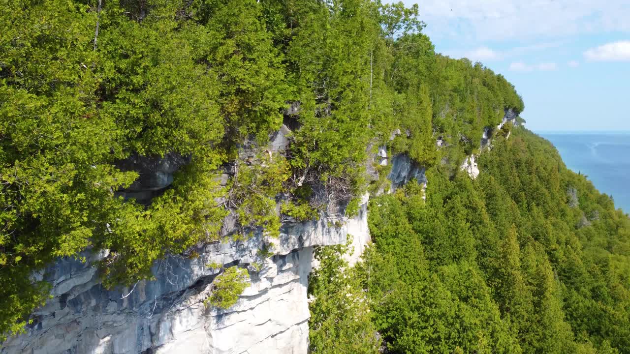 alto bosque de acantilado rocoso aéreo con aves volando en el fondo en la bahía de georgia, ontario, canadá