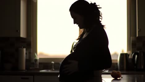 a serene moment captured in the kitchen, highlighting the silhouette of a pregnant woman, emphasizing the essence of motherhood and anticipation in a cozy home setting