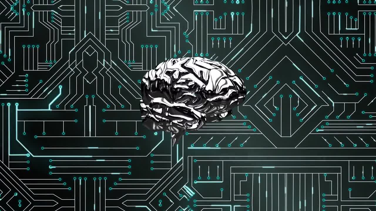 Brain and digital circuit