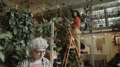 girl using laptop and speaking with coworker in flower shop