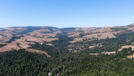 Panoramic-video-of-majestic-hills-and-green-pines-in-Santa-Cruz-Mountains,-California