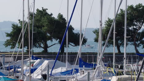 small harbor with sail boats, small ship drives by in the background