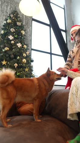 dog by the christmas tree