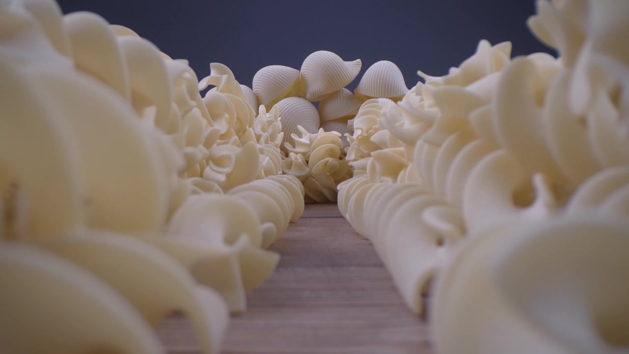 Slow Zoom Out from Various Uncooked Pasta Shapes