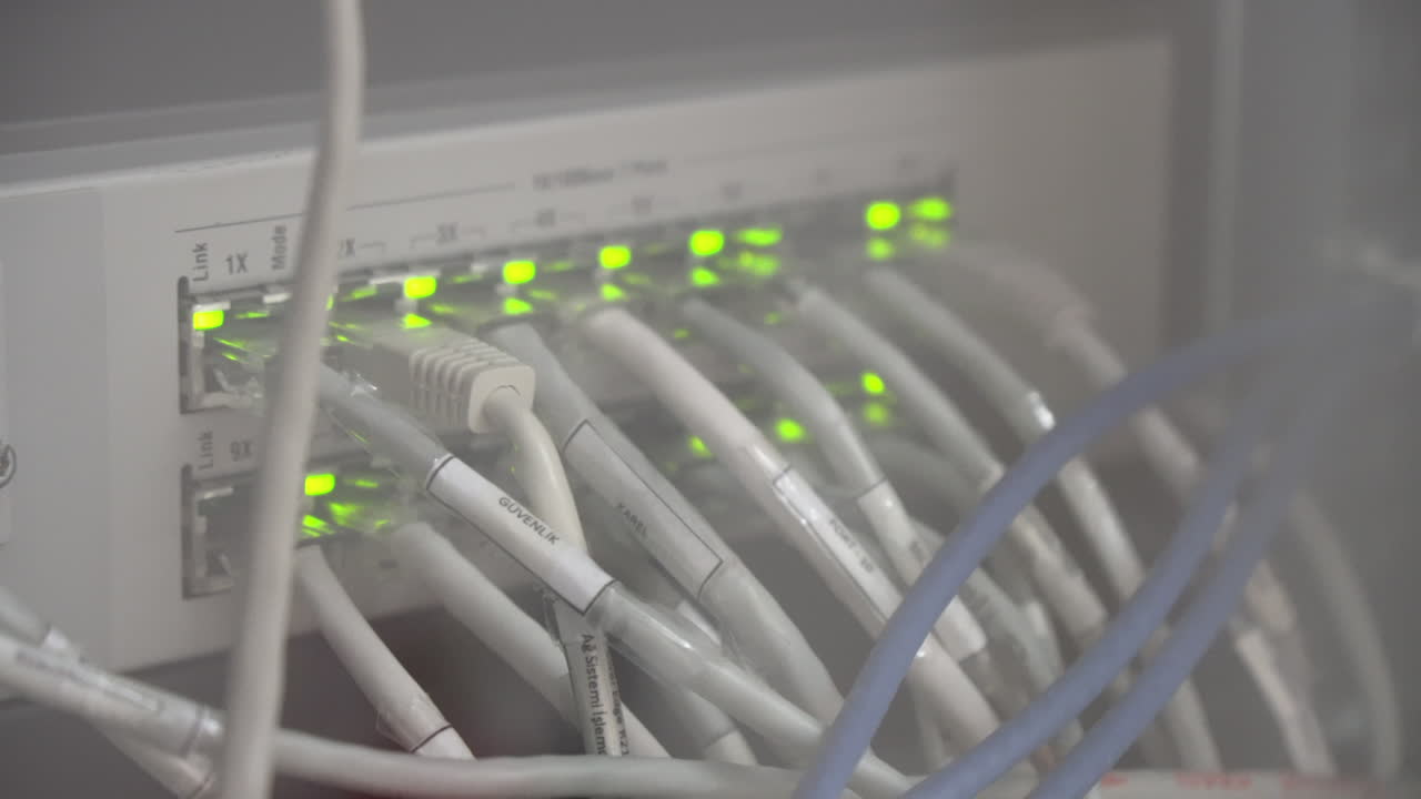 computadora y servidor en ejecución.