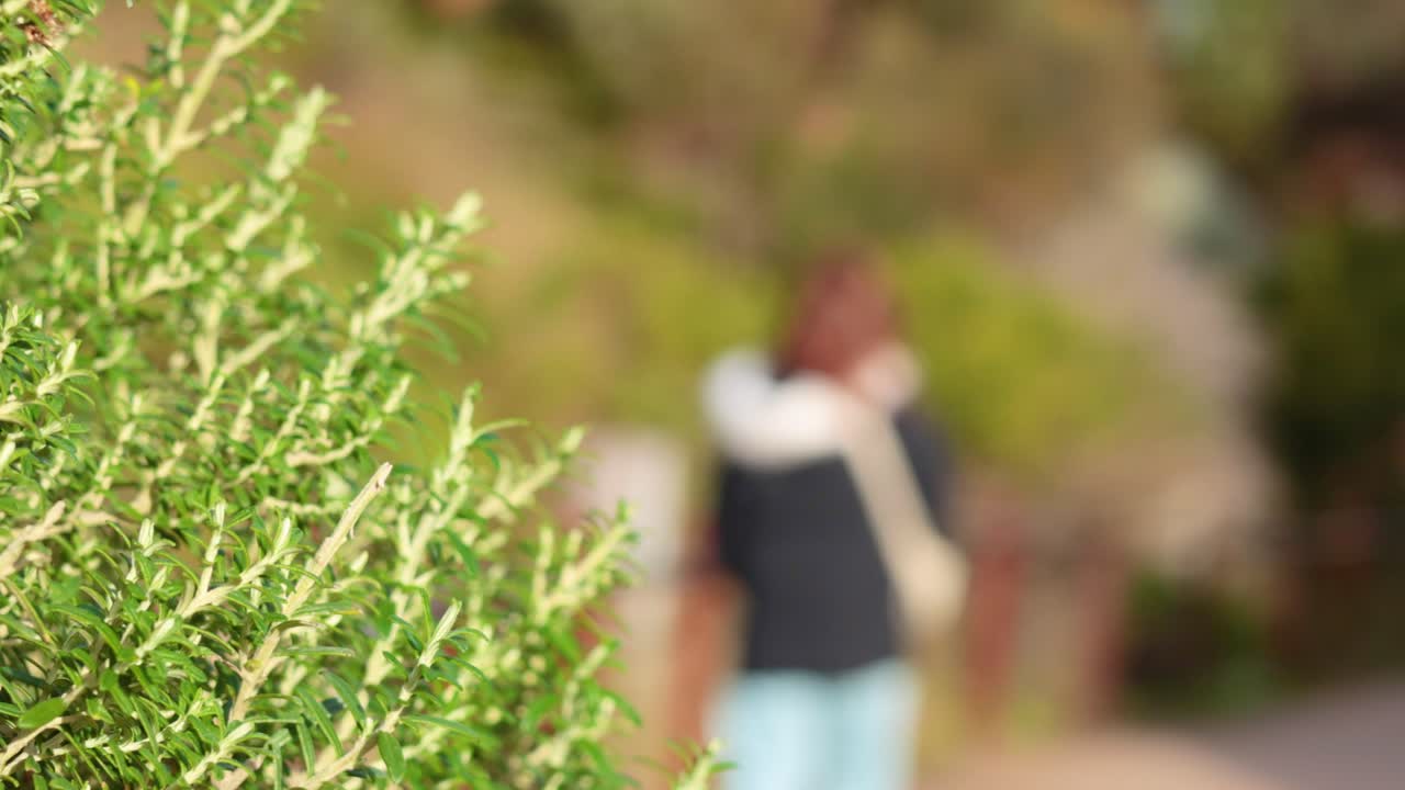 울창 한 초록색 과 경치 좋은 풍경 근처 에서 산책 하는 사람 들