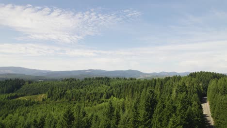 Aerial View of a Lush Green Forest and Mountains