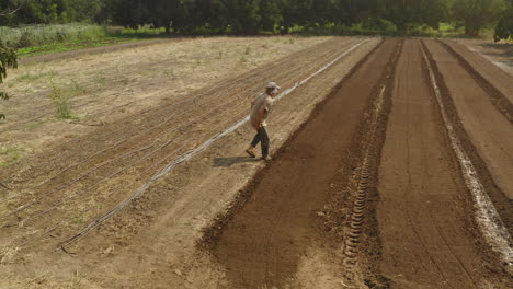 manually hand levelling agricultural soil for harvest at northern california