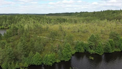 distant drone video of forest road next to lake