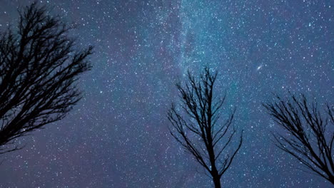 andromeda galaxy rising high in the night sky