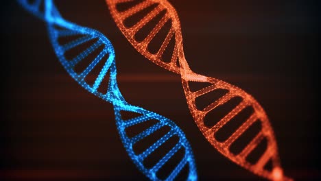 abstract shape of dna molecule animation background