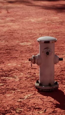 white fire hydrant on red ground