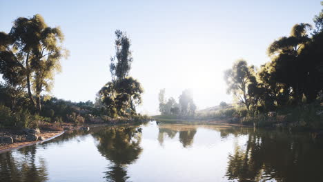 serene lakeside with trees reflecting in clear water under bright sunlight