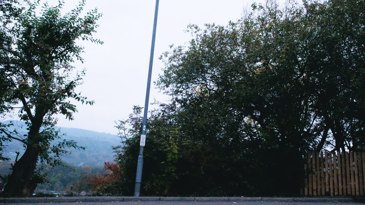 Man walks his dog downhill along a quiet street past a lamppost in the soft early morning light, capturing a peaceful urban moment