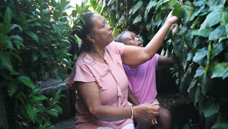 exploring garden, grandmother and child bonding while discovering nature together