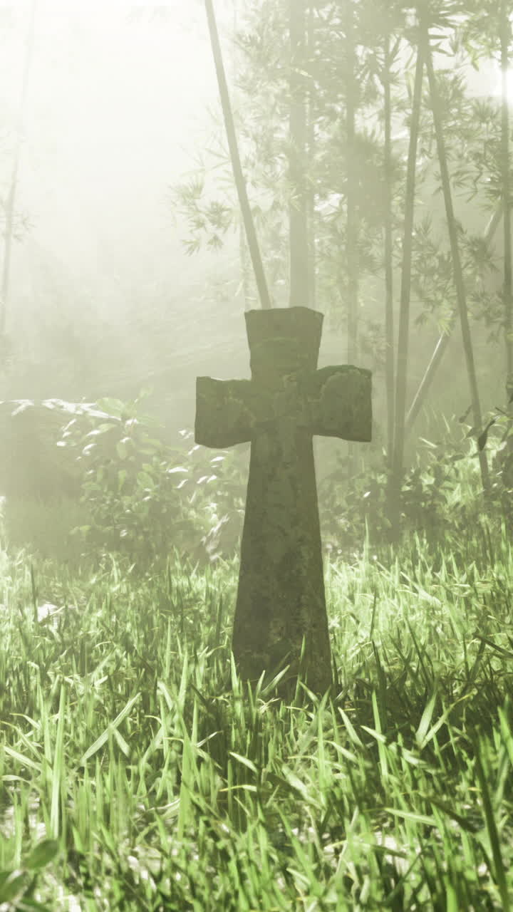 Sunlight filters through trees illuminating a weathered grave marker in nature