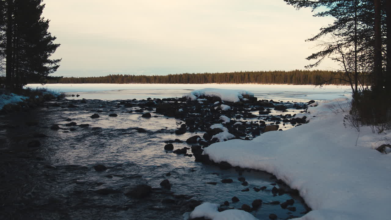 потрясающий сумрачный снимок замерзающего ручья