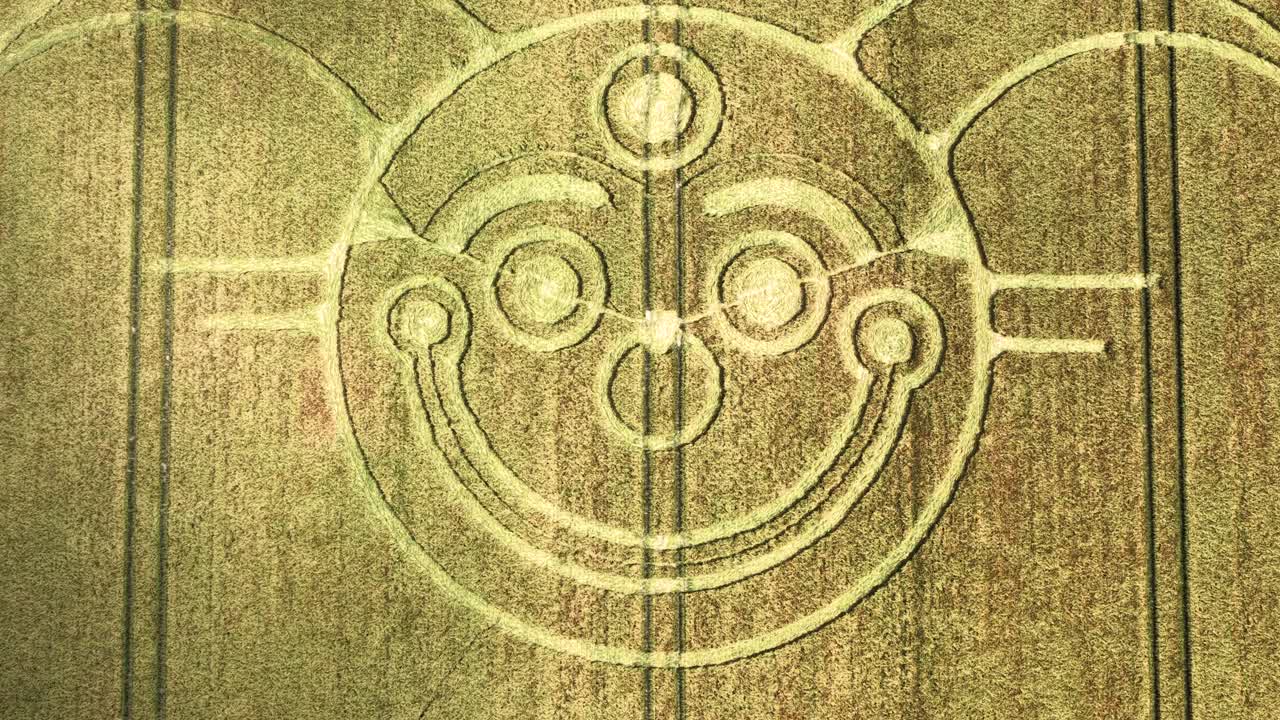 Spooky smiling jester crop circle aerial view descending over moving breezy golden wheat harvest