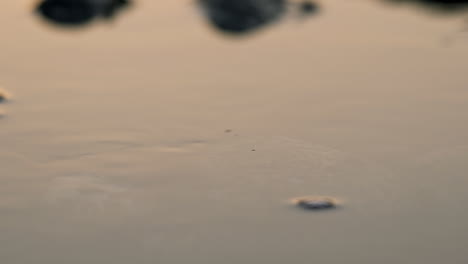 macro shot of small ripple in tide pool water at sunset, slow motion