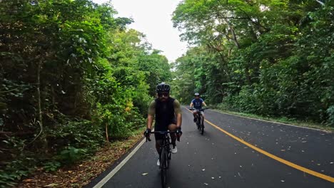 cyclist takes to the winding forest roads, enjoying the lush green landscape