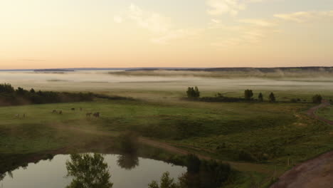 scenic aerial drone view flying over farmland on a picturesque, misty, summer morning