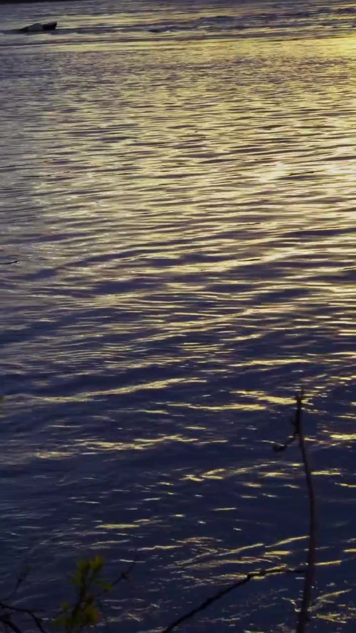 Vertical close up of real river water with golden reflections, organic ripples and natural evening texture, ideal for mobile backgrounds, wellness visuals and reels.