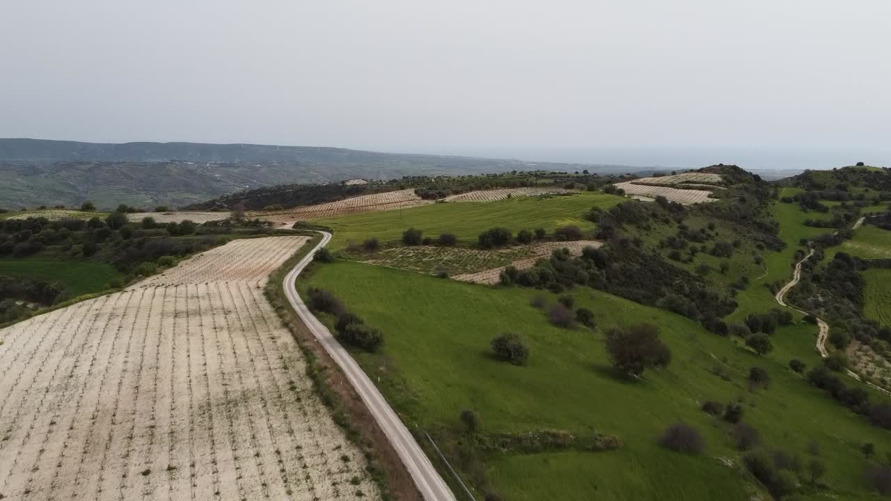 Enjoy a tranquil view of a vineyard stretching across the landscape, with a winding road bordered by lush greenery and distant hills under a serene sky