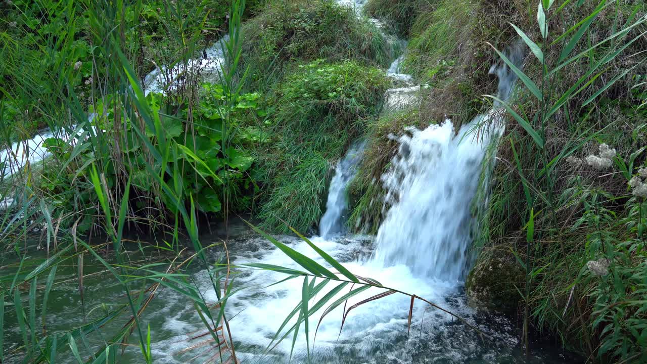 agua corriendo por formaciones cubiertas de hierba verde con plantas que soplan en primer plano en el parque nacional de los lagos de plitvice en croacia, europa