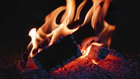 burning wood in a campfire at night