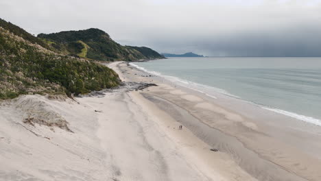 stunning new zealand beach scenery with people