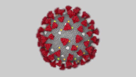 covid-19 animation loop