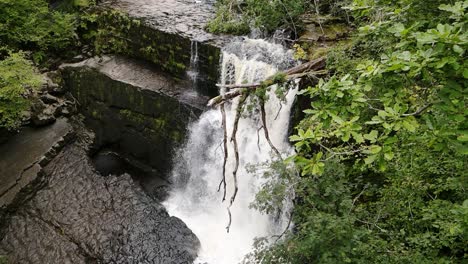 Zeitlupe-Kaskadierende-Leuchtfeuer-Idyllische-Waldwasserfälle-In-Der-Luft-Langsam-Eindrücken