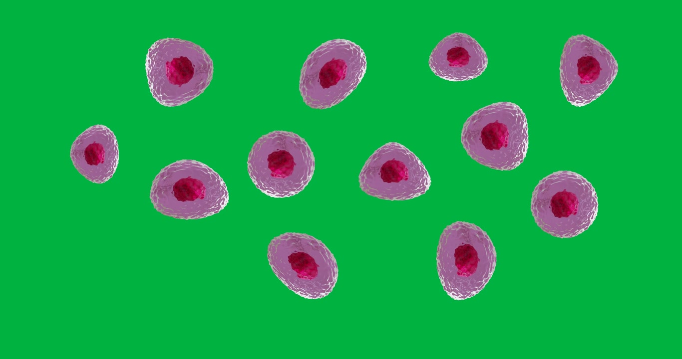 Animazione di un primo piano macro di cellule rosa su sfondo trasparente.